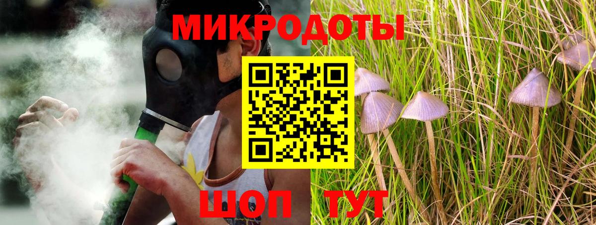 Камень-на-Оби  Псилоцибиновые грибы Cubensis  Вход с VPN 